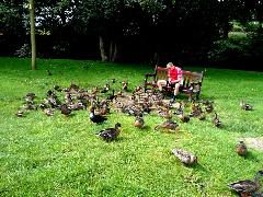 Aug_2012_Ron_2510