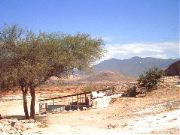 dainzu_1