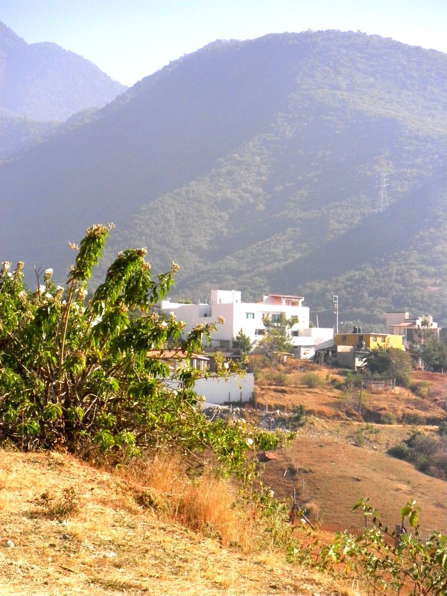 Luz_Dec2011-Jan2012_1722